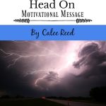 Facing the storms of life head on, calee reed, are you the cow or the buffalo, adversity, short story, www.melanieslibrary.com