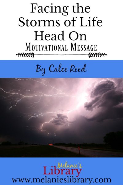 Facing the storms of life head on, calee reed, are you the cow or the buffalo, adversity, short story, www.melanieslibrary.com