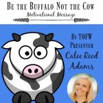 Calee Reed, cow or buffalo, facing life's storms, adversity, sacrament talk, fhe lesson, www.melanieslibrary.com