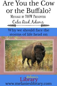 are you the cow or the buffalo, motivational message by calee reed, tofw, adversity, www.melanieslibrary.com